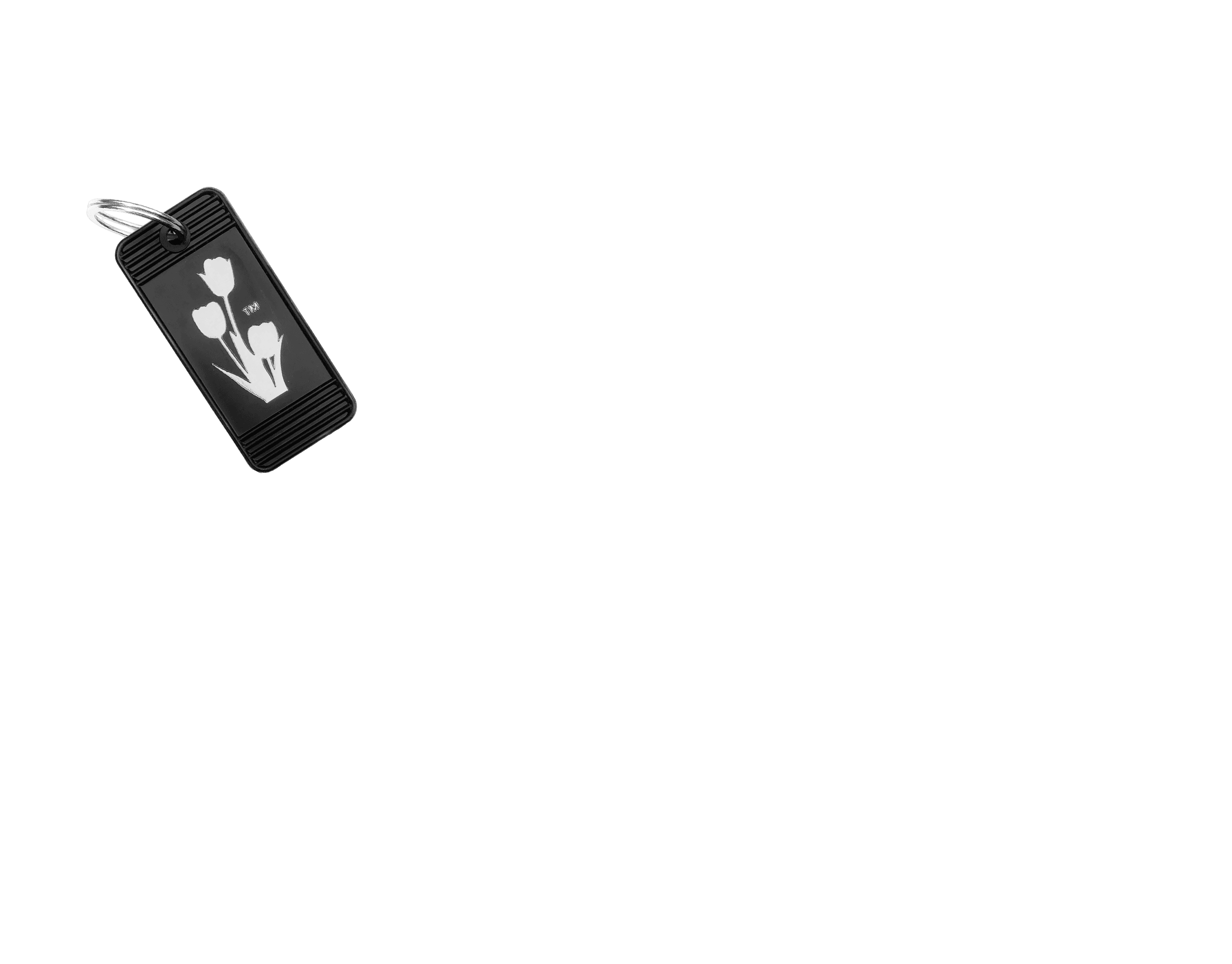 Scroll image 2