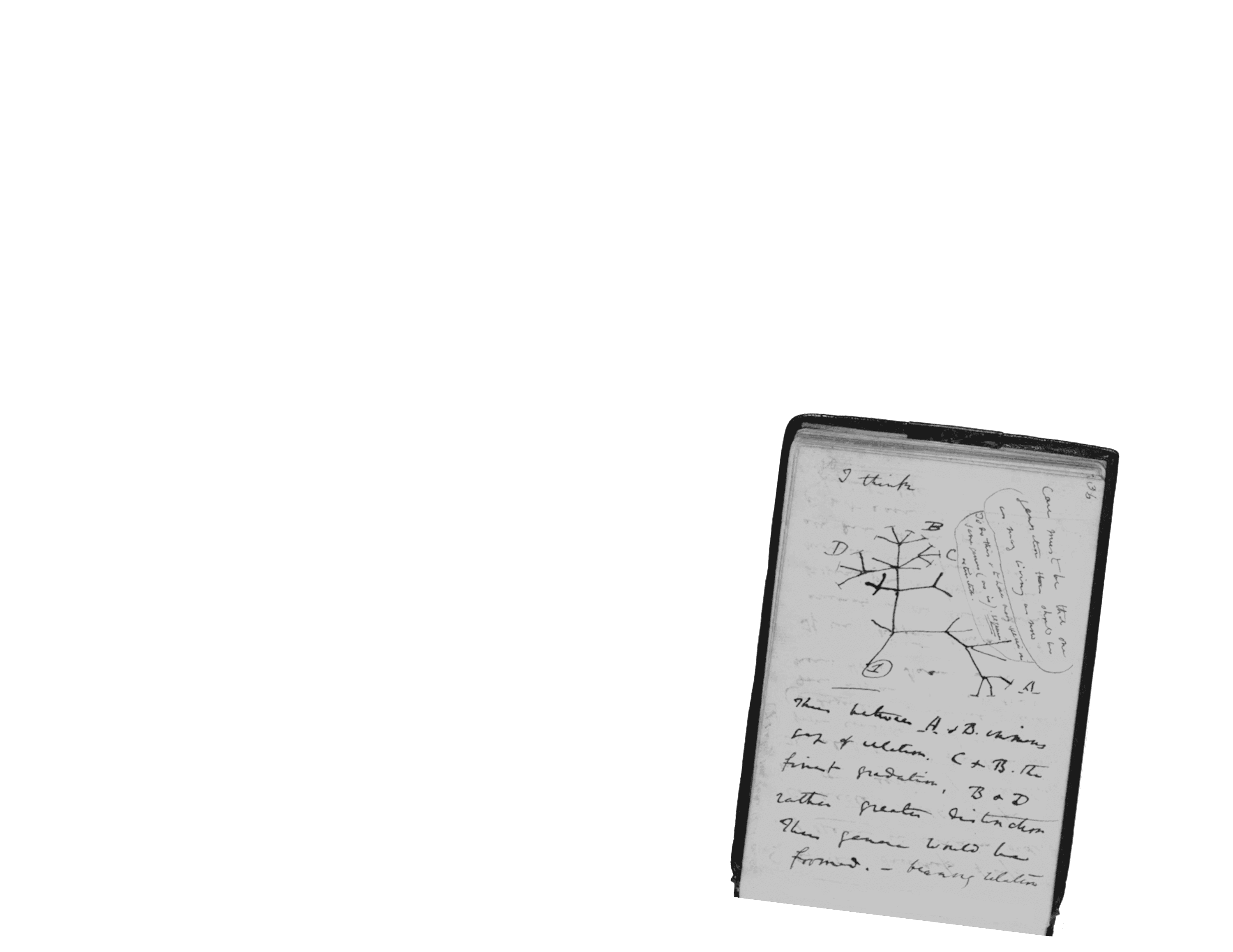 Scroll image 2