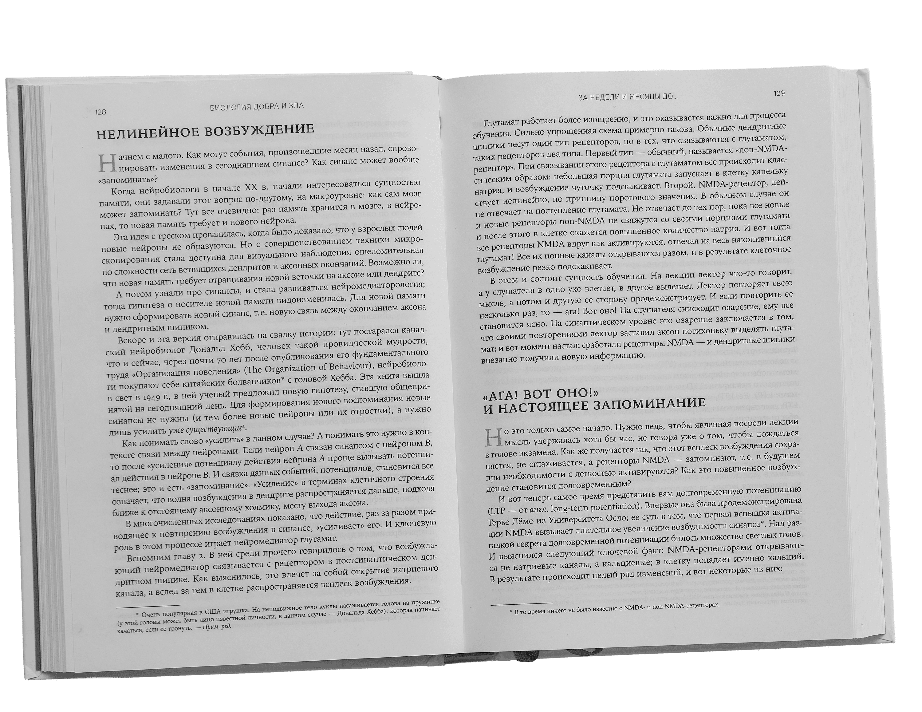 Scroll image 1