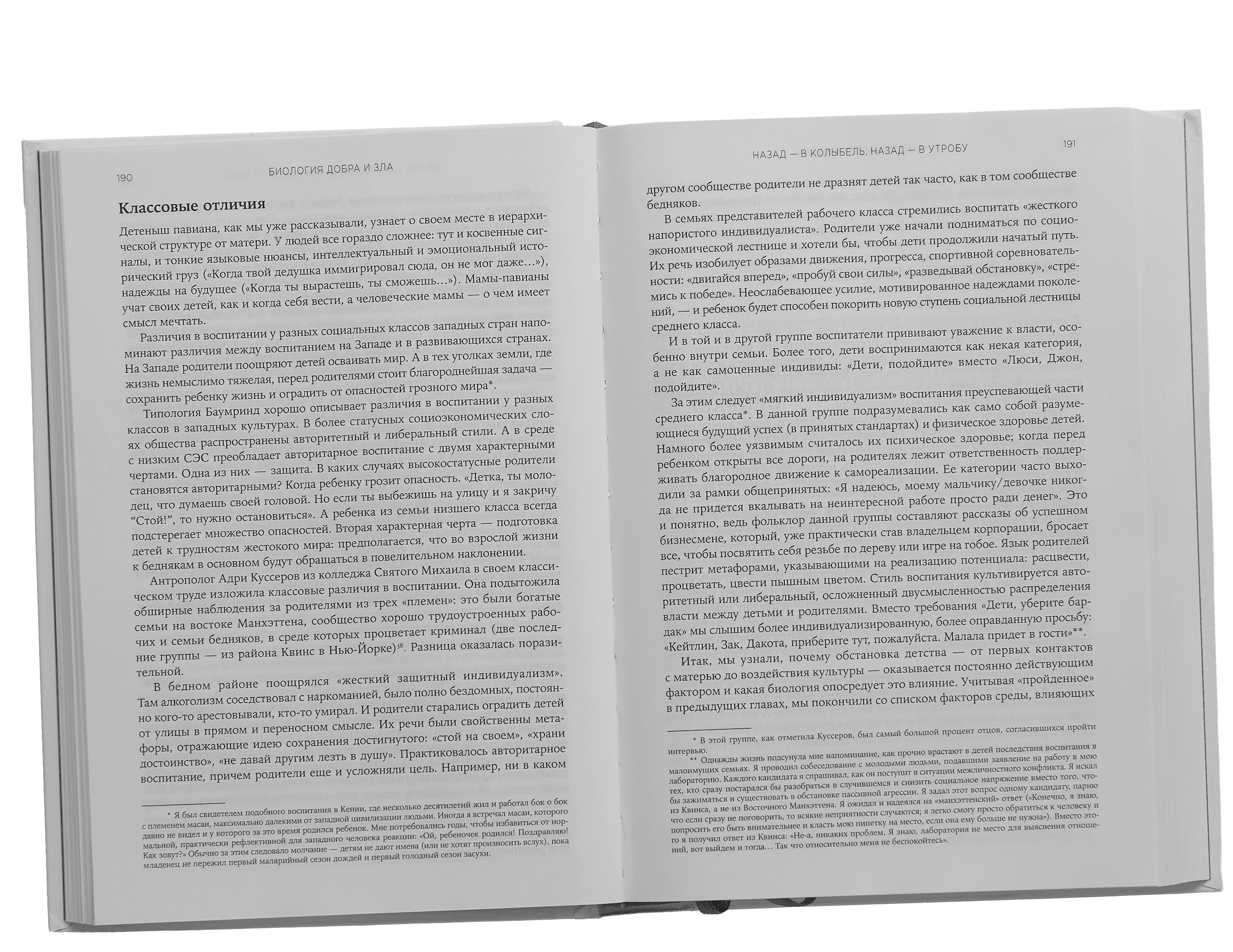 Scroll image 4