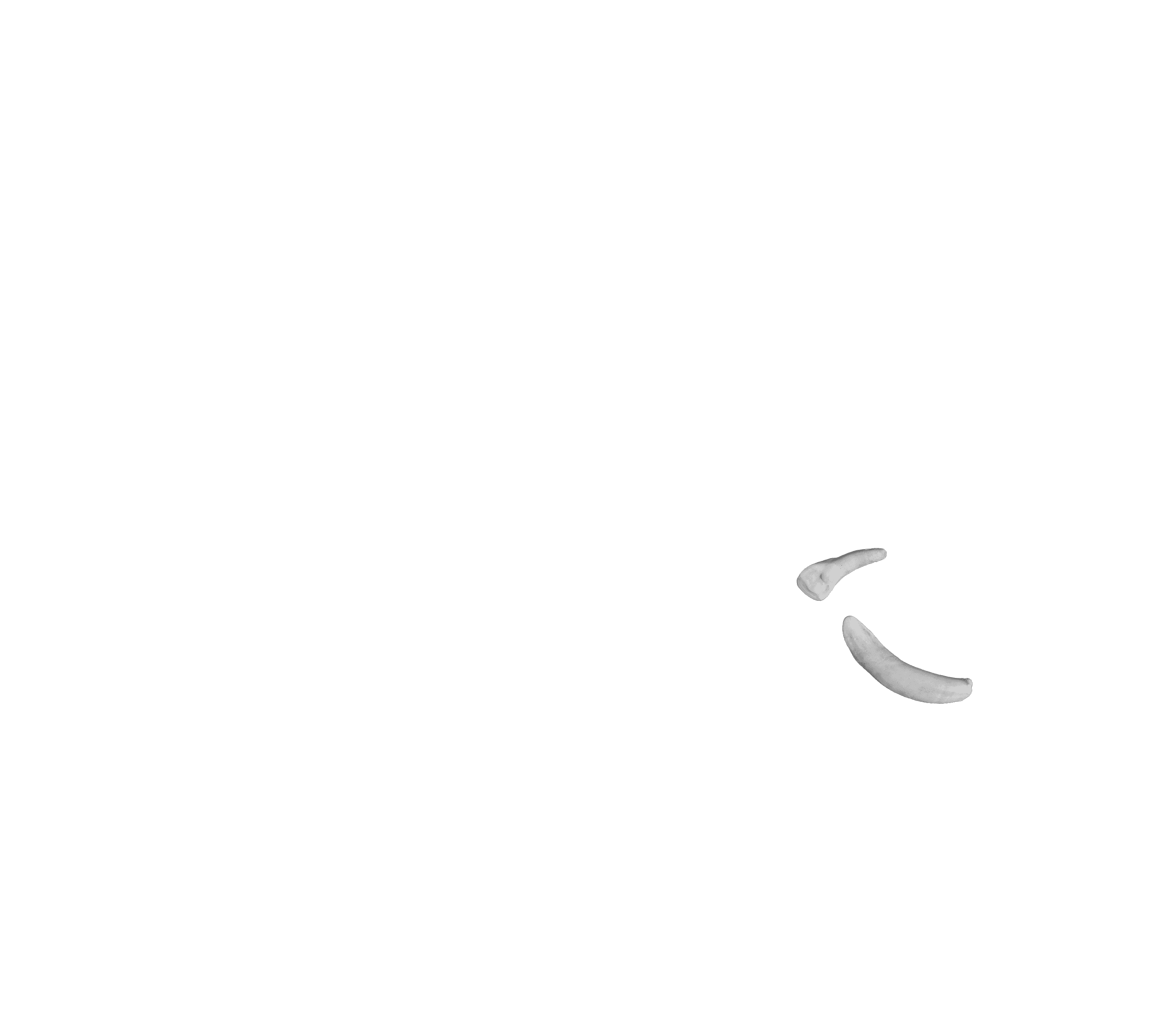 Scroll image 2
