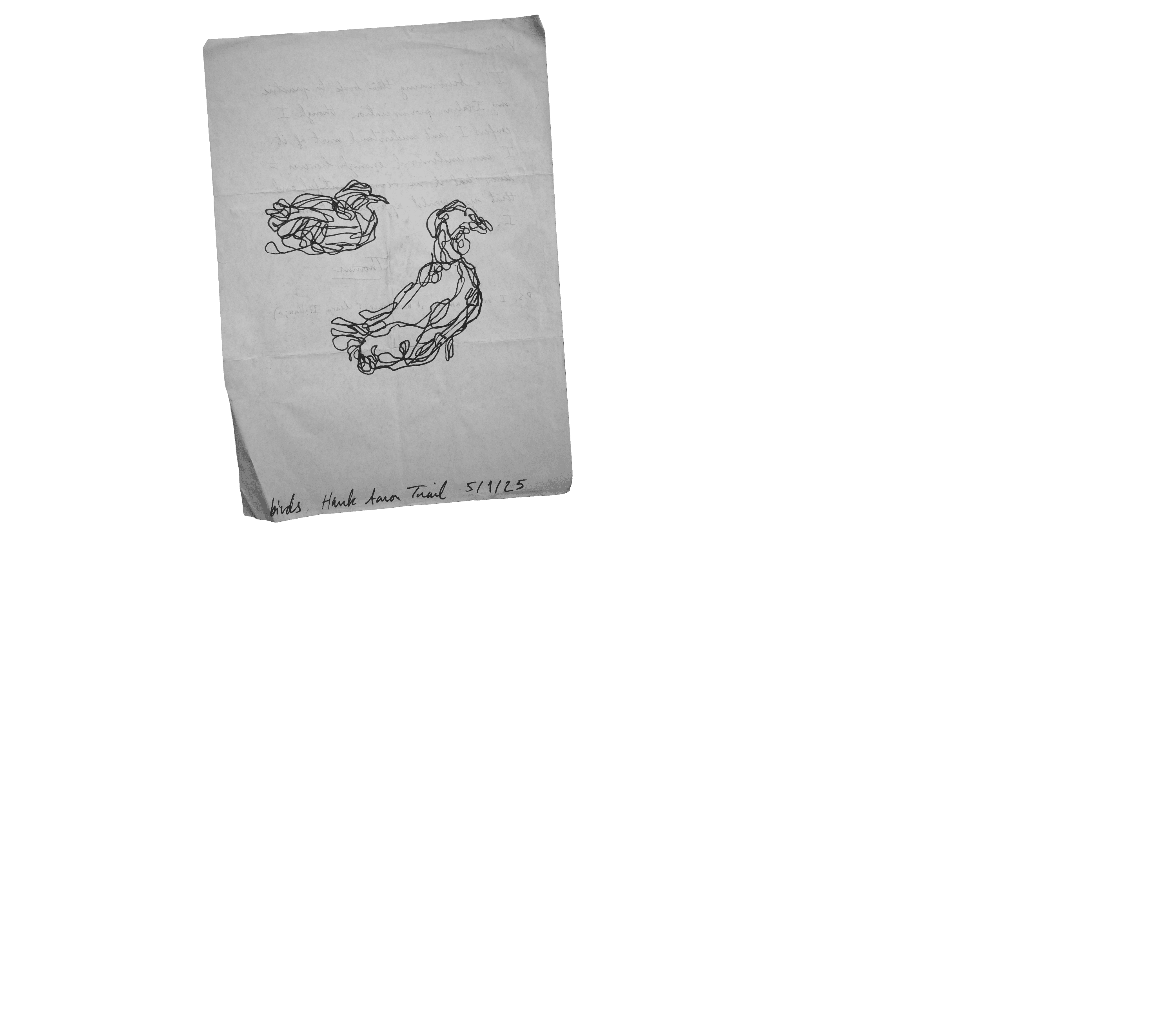Scroll image 4