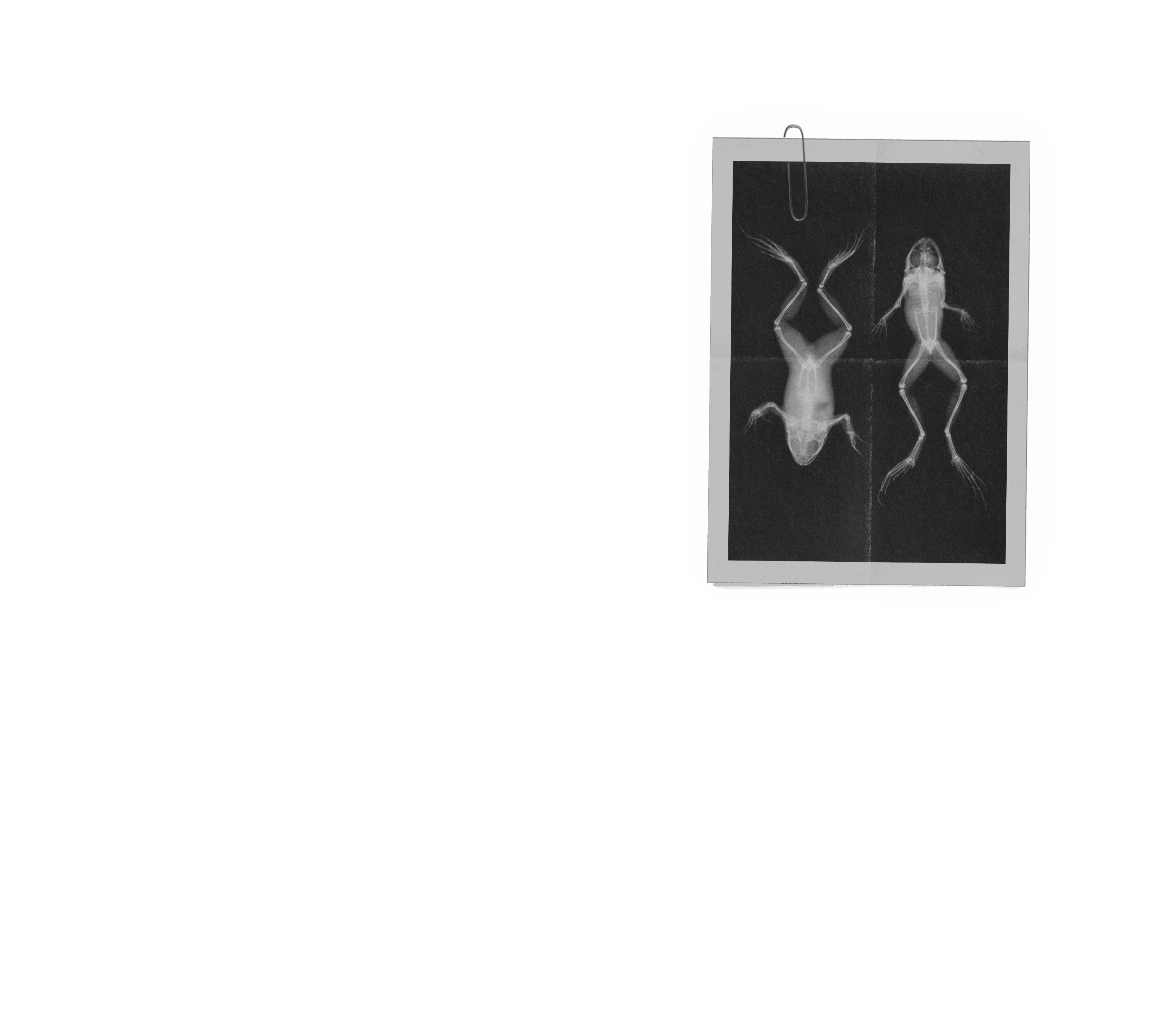 Scroll image 5