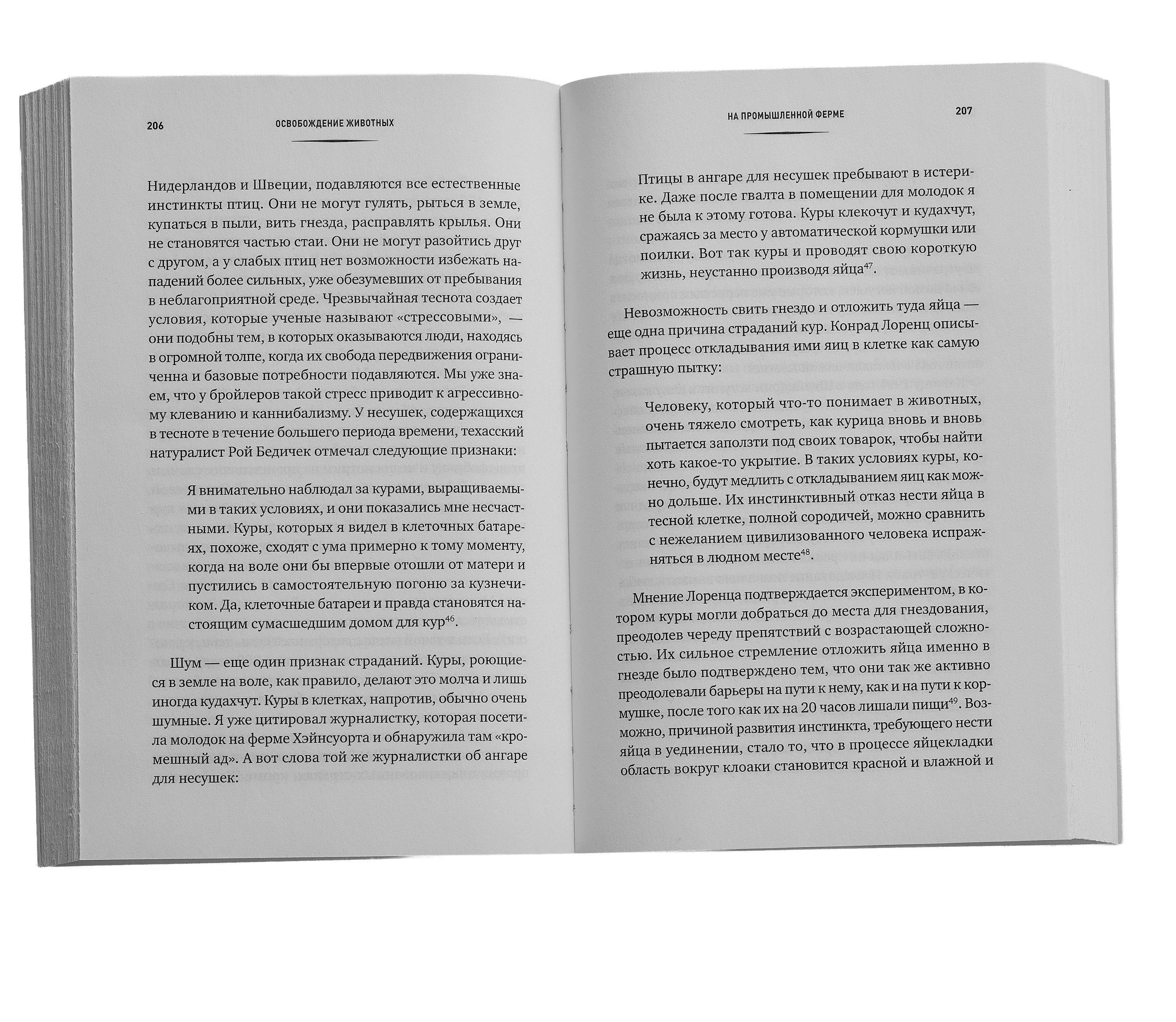 Scroll image 1
