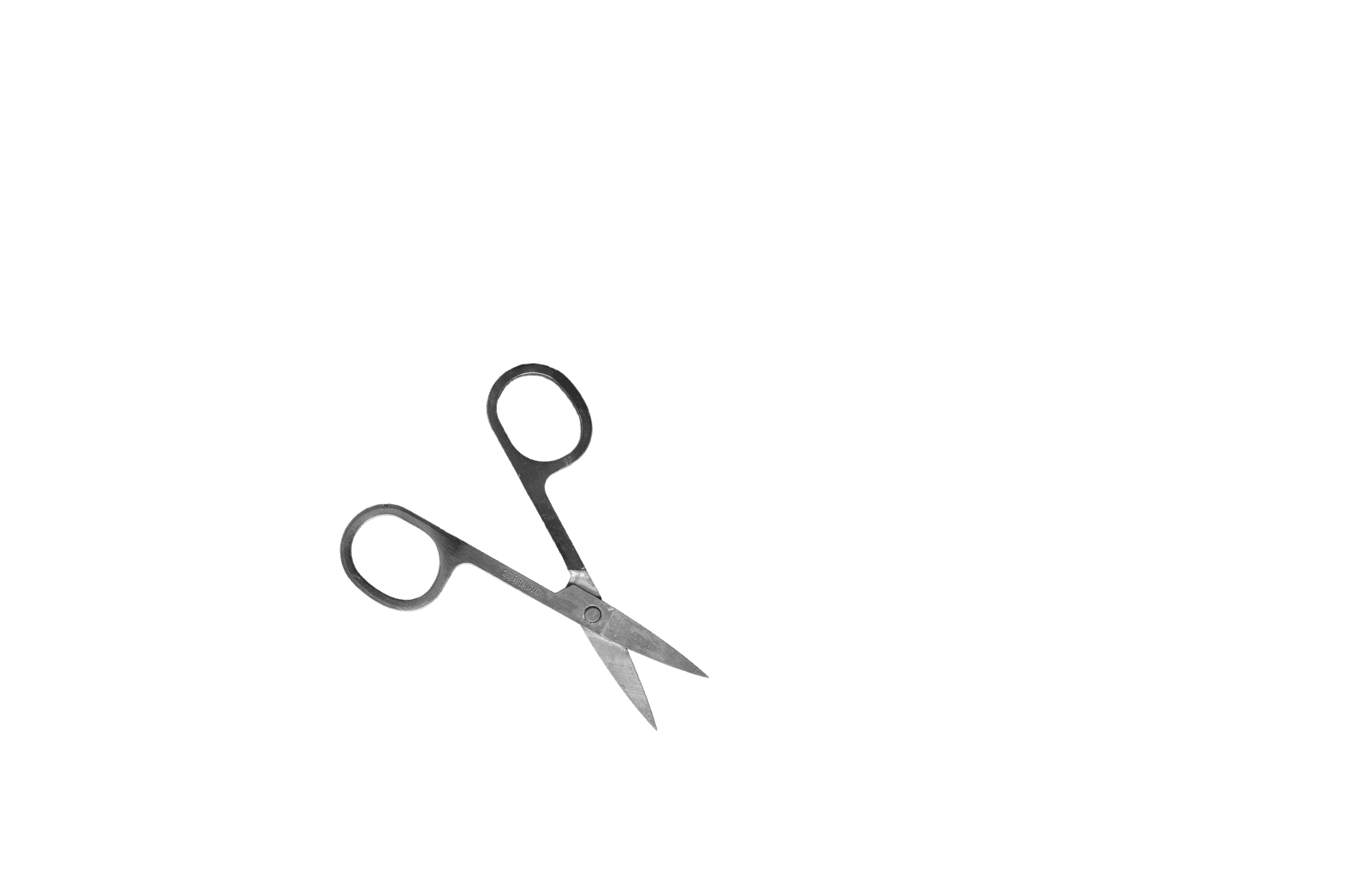 Scroll image 2