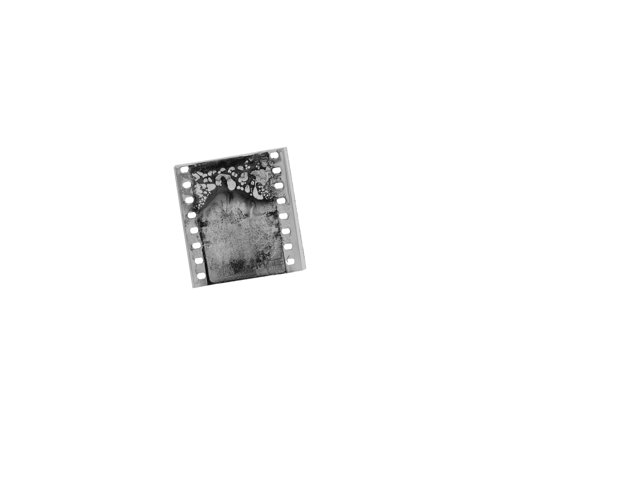 Scroll image 5