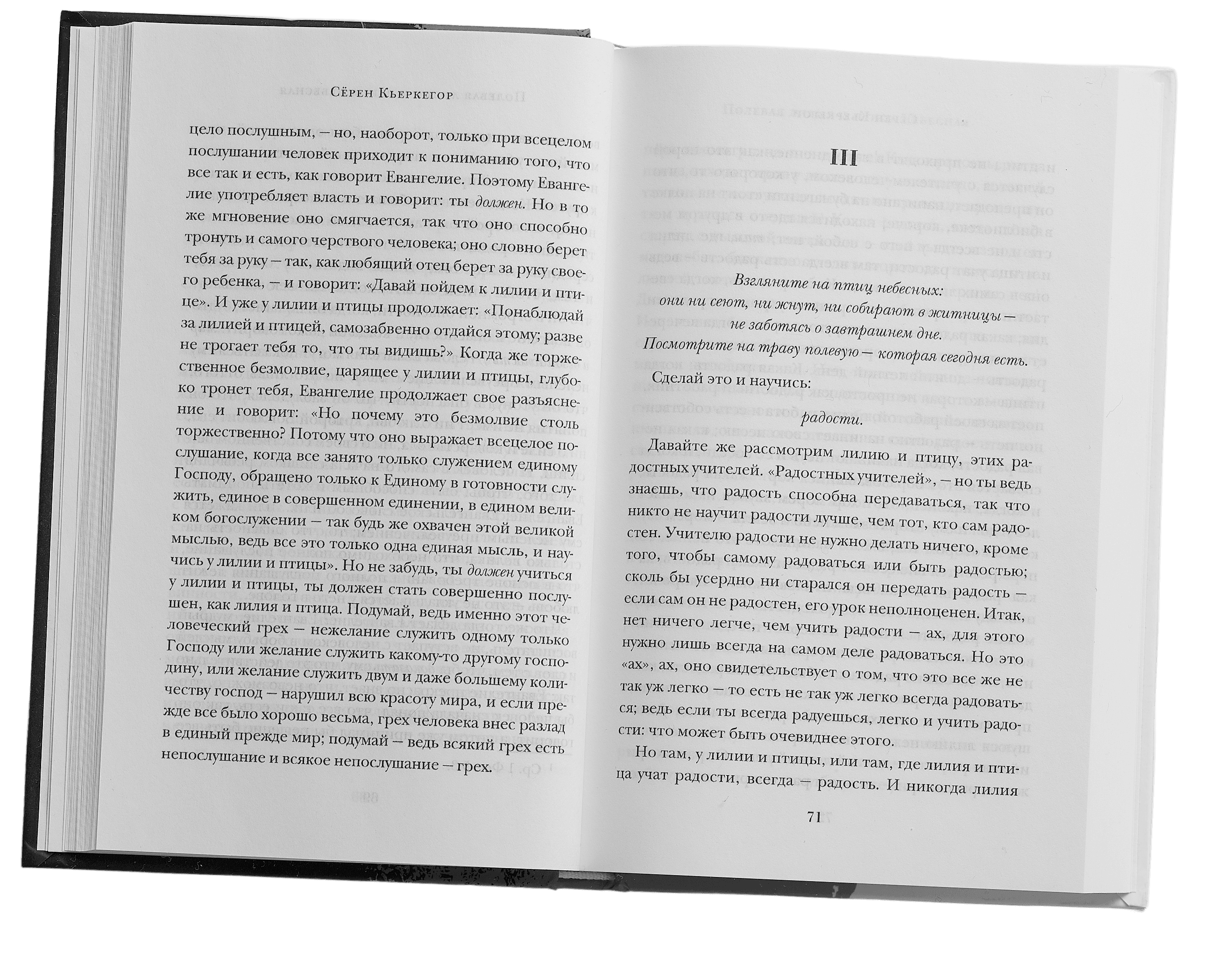 Scroll image 3