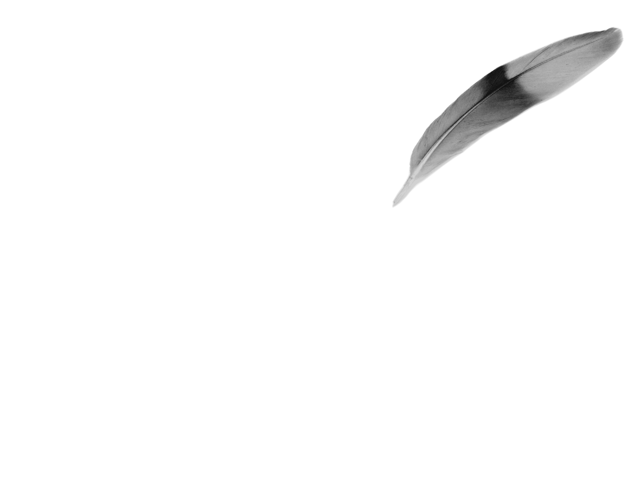 Scroll image 4