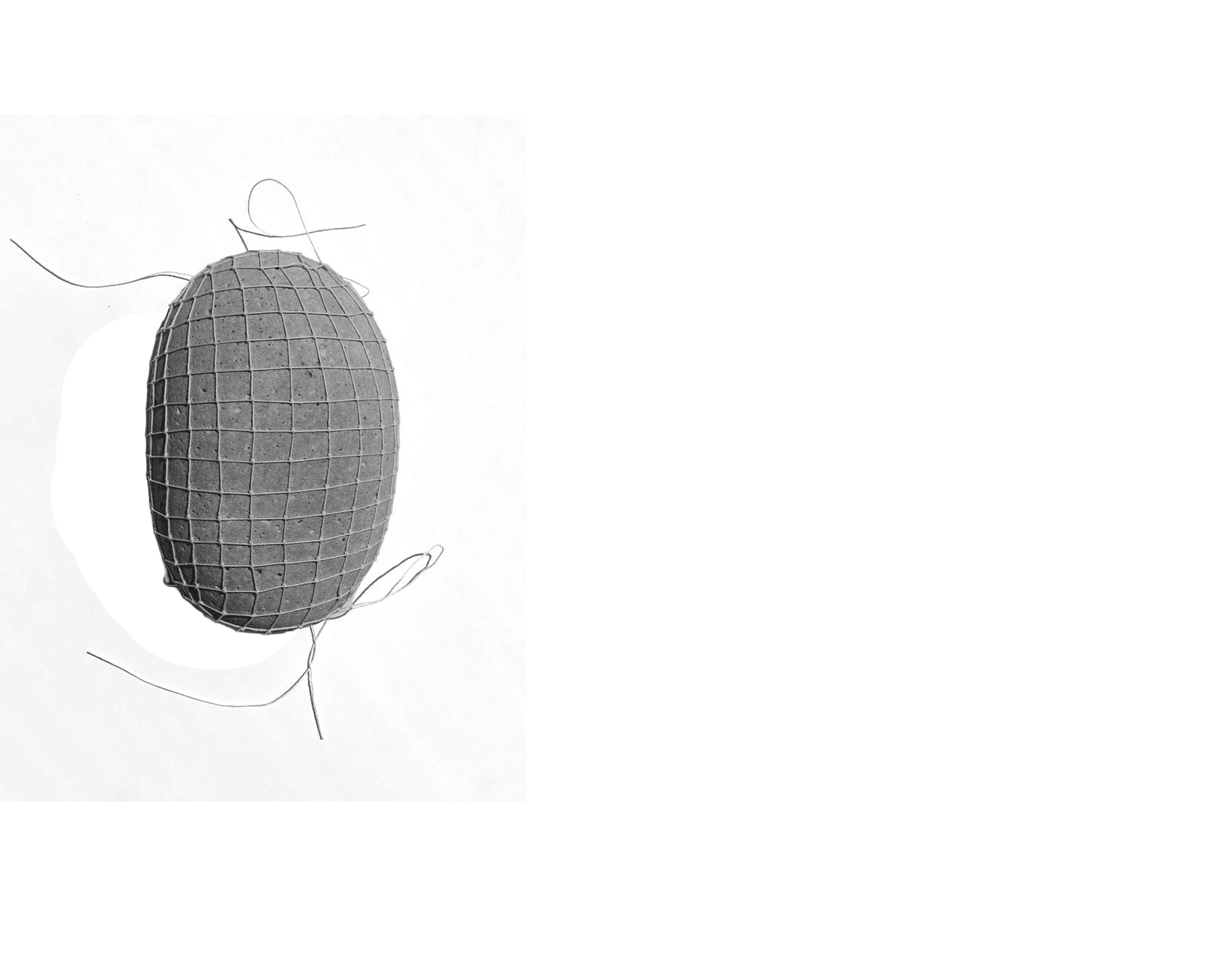 Scroll image 5