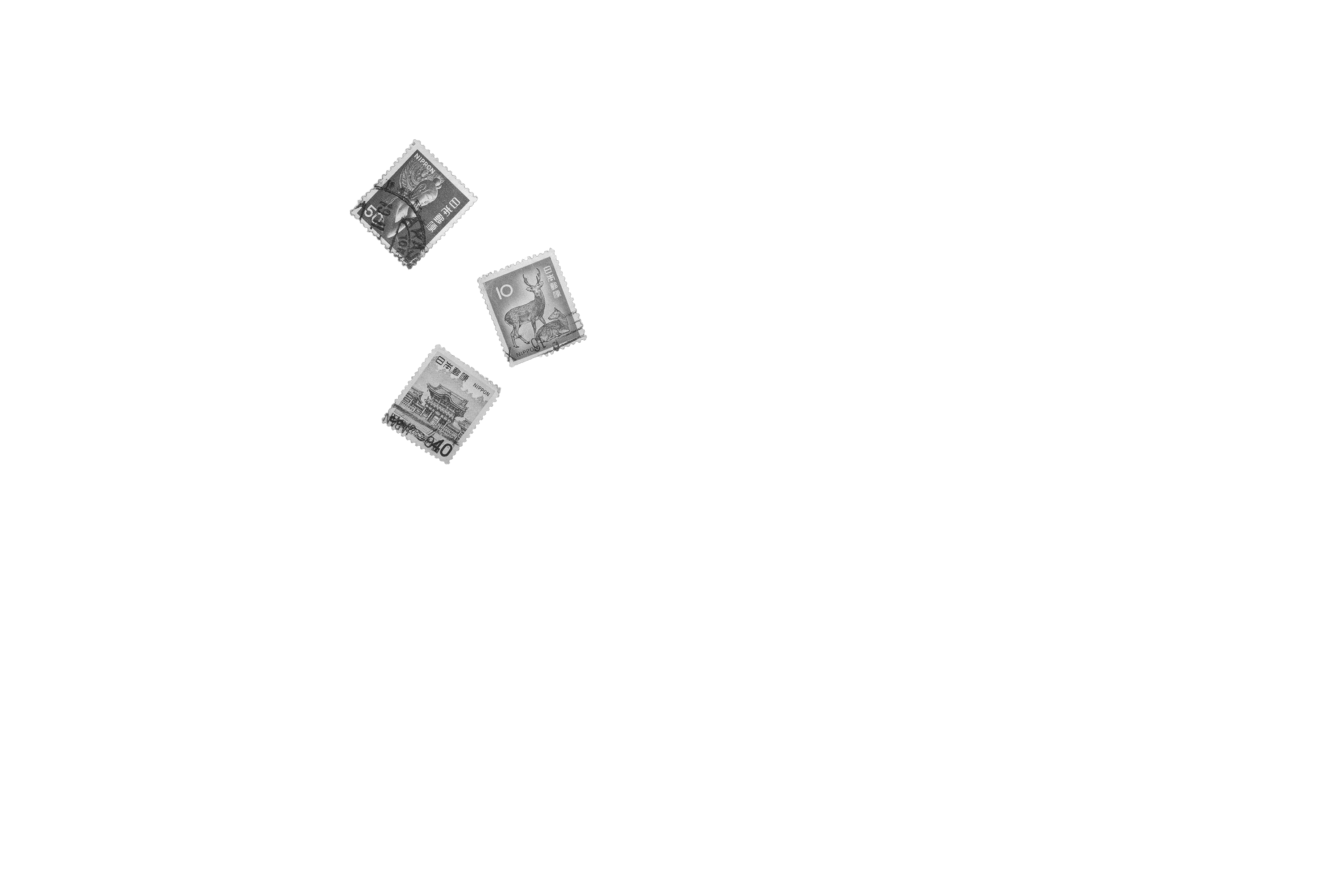 Scroll image 4
