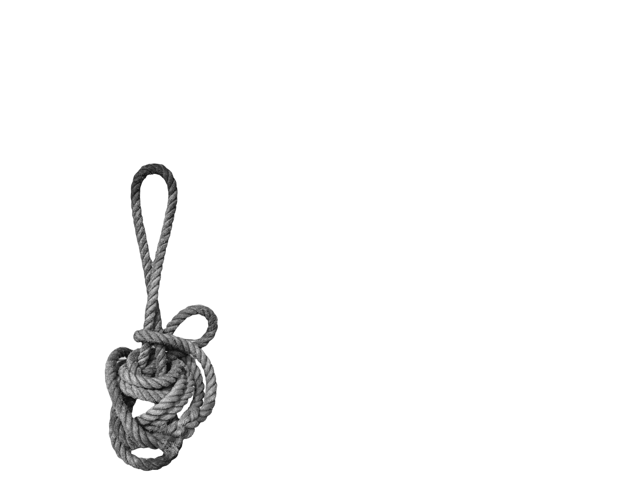 Scroll image 4