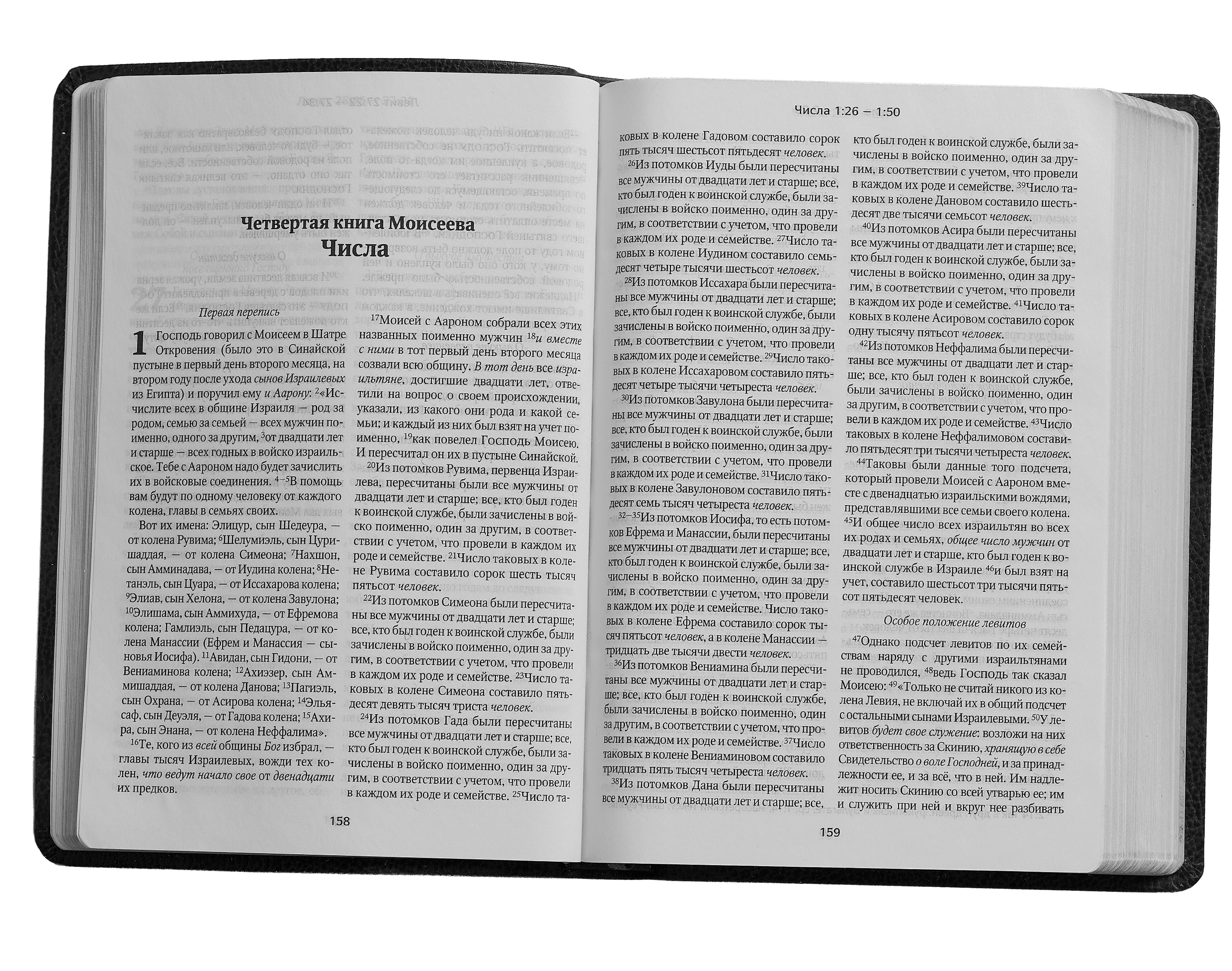 Scroll image 1