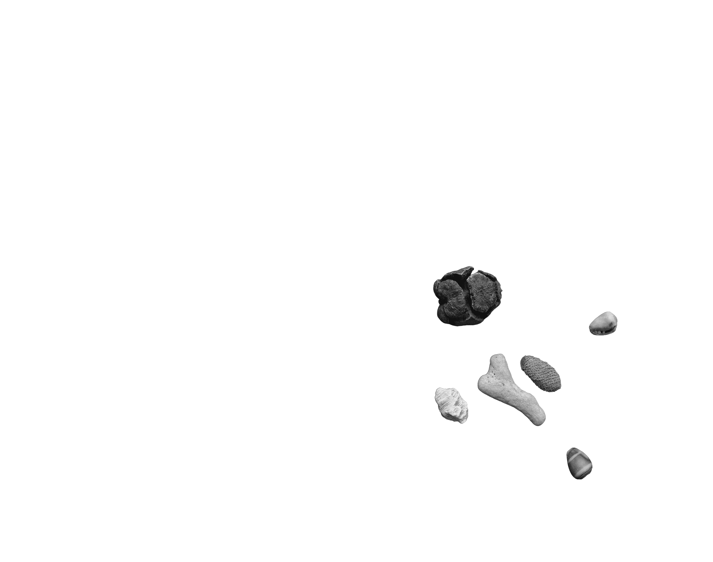 Scroll image 2
