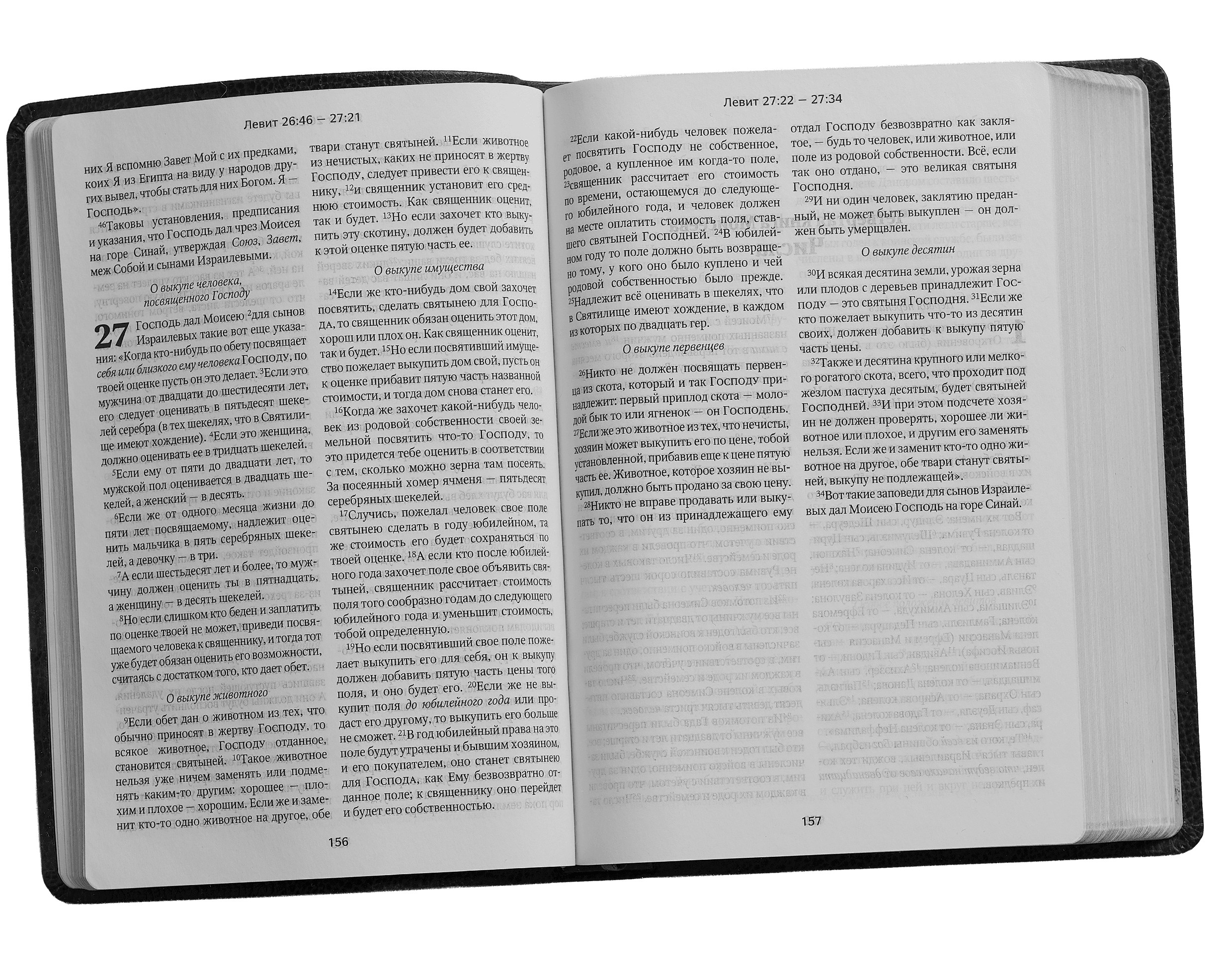 Scroll image 3